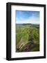 Farmland near Rotorua, North Island, New Zealand-David Wall-Framed Photographic Print