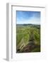 Farmland near Rotorua, North Island, New Zealand-David Wall-Framed Photographic Print