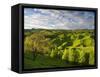Farmland Near Taihape, North Island, New Zealand, Pacific-Ben Pipe-Framed Stretched Canvas