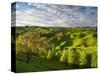 Farmland Near Taihape, North Island, New Zealand, Pacific-Ben Pipe-Stretched Canvas