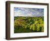 Farmland Near Taihape, North Island, New Zealand, Pacific-Ben Pipe-Framed Photographic Print