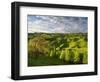 Farmland Near Taihape, North Island, New Zealand, Pacific-Ben Pipe-Framed Photographic Print