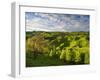 Farmland Near Taihape, North Island, New Zealand, Pacific-Ben Pipe-Framed Photographic Print