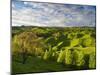 Farmland Near Taihape, North Island, New Zealand, Pacific-Ben Pipe-Mounted Photographic Print