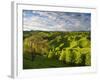 Farmland Near Taihape, North Island, New Zealand, Pacific-Ben Pipe-Framed Photographic Print