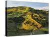 Farmland Near Taraka, Gisborne, North Island, New Zealand, Pacific-Jochen Schlenker-Stretched Canvas