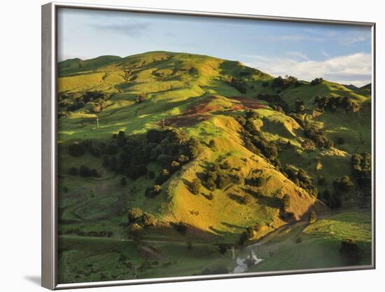 Farmland Near Taraka, Gisborne, North Island, New Zealand, Pacific-Jochen Schlenker-Framed Photographic Print