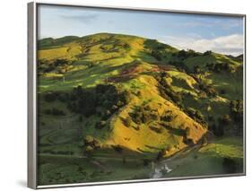 Farmland Near Taraka, Gisborne, North Island, New Zealand, Pacific-Jochen Schlenker-Framed Photographic Print