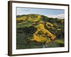 Farmland Near Taraka, Gisborne, North Island, New Zealand, Pacific-Jochen Schlenker-Framed Photographic Print