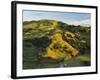 Farmland Near Taraka, Gisborne, North Island, New Zealand, Pacific-Jochen Schlenker-Framed Photographic Print