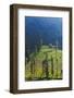 Farmland Near Tengger Semeru National Park, East Java, Indonesia-Keren Su-Framed Photographic Print