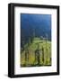 Farmland Near Tengger Semeru National Park, East Java, Indonesia-Keren Su-Framed Photographic Print