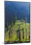 Farmland Near Tengger Semeru National Park, East Java, Indonesia-Keren Su-Mounted Photographic Print