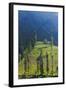 Farmland Near Tengger Semeru National Park, East Java, Indonesia-Keren Su-Framed Photographic Print