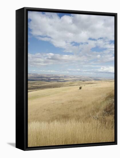 Farmland Off Highway 84, Near Pendleton, Oregon, United States of America, North America-Aaron McCoy-Framed Stretched Canvas