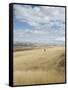 Farmland Off Highway 84, Near Pendleton, Oregon, United States of America, North America-Aaron McCoy-Framed Stretched Canvas