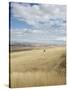 Farmland Off Highway 84, Near Pendleton, Oregon, United States of America, North America-Aaron McCoy-Stretched Canvas