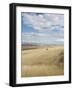 Farmland Off Highway 84, Near Pendleton, Oregon, United States of America, North America-Aaron McCoy-Framed Photographic Print