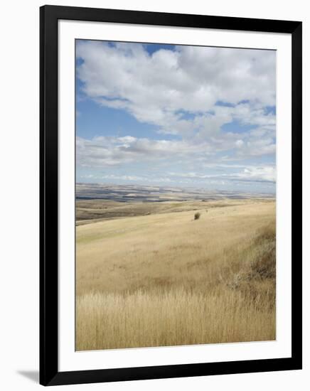 Farmland Off Highway 84, Near Pendleton, Oregon, United States of America, North America-Aaron McCoy-Framed Photographic Print