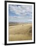 Farmland Off Highway 84, Near Pendleton, Oregon, United States of America, North America-Aaron McCoy-Framed Photographic Print