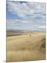 Farmland Off Highway 84, Near Pendleton, Oregon, United States of America, North America-Aaron McCoy-Mounted Photographic Print