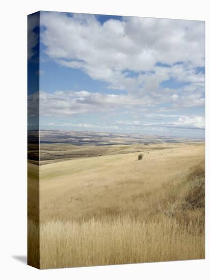 Farmland Off Highway 84, Near Pendleton, Oregon, United States of America, North America-Aaron McCoy-Stretched Canvas