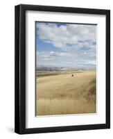 Farmland Off Highway 84, Near Pendleton, Oregon, United States of America, North America-Aaron McCoy-Framed Photographic Print