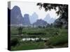 Farmland on Edge of Town, Among the Limestone Towers, Yangshuo, Guangxi, China-Tony Waltham-Stretched Canvas