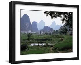 Farmland on Edge of Town, Among the Limestone Towers, Yangshuo, Guangxi, China-Tony Waltham-Framed Photographic Print