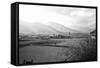 Farmland Paro Valley Bhutan (B/W Photo)-null-Framed Stretched Canvas