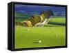 Farmland, South Otago, South Island, New Zealand-David Wall-Framed Stretched Canvas