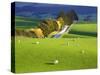 Farmland, South Otago, South Island, New Zealand-David Wall-Stretched Canvas