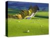 Farmland, South Otago, South Island, New Zealand-David Wall-Stretched Canvas