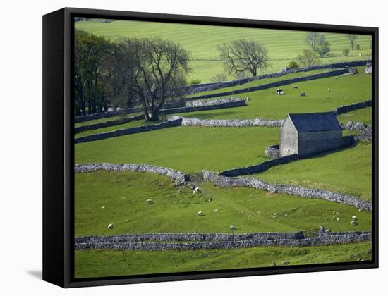 Farmland, Stone Walls and Buildings, Near Malham, Yorkshire Dales, North Yorkshire, England-David Wall-Framed Stretched Canvas