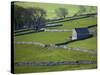 Farmland, Stone Walls and Buildings, Near Malham, Yorkshire Dales, North Yorkshire, England-David Wall-Stretched Canvas