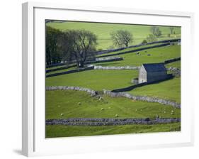 Farmland, Stone Walls and Buildings, Near Malham, Yorkshire Dales, North Yorkshire, England-David Wall-Framed Photographic Print