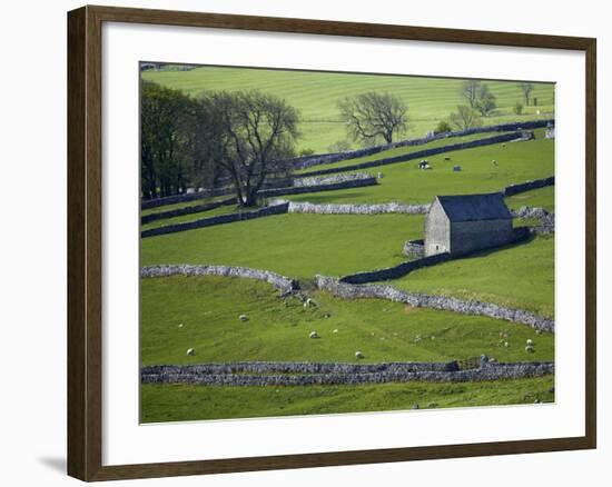 Farmland, Stone Walls and Buildings, Near Malham, Yorkshire Dales, North Yorkshire, England-David Wall-Framed Photographic Print