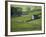 Farmland, Stone Walls and Buildings, Near Malham, Yorkshire Dales, North Yorkshire, England-David Wall-Framed Photographic Print