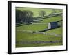 Farmland, Stone Walls and Buildings, Near Malham, Yorkshire Dales, North Yorkshire, England-David Wall-Framed Photographic Print