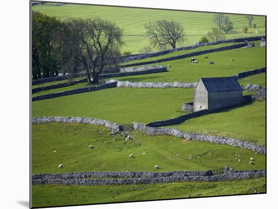 Farmland, Stone Walls and Buildings, Near Malham, Yorkshire Dales, North Yorkshire, England-David Wall-Mounted Photographic Print