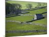 Farmland, Stone Walls and Buildings, Near Malham, Yorkshire Dales, North Yorkshire, England-David Wall-Mounted Photographic Print