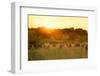 Farmland Summer Scene in Sunset-Dark Moon Pictures-Framed Photographic Print