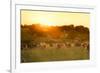 Farmland Summer Scene in Sunset-Dark Moon Pictures-Framed Photographic Print