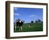 Farmland with Cows near Dublin, Ireland-Bill Bachmann-Framed Photographic Print