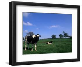 Farmland with Cows near Dublin, Ireland-Bill Bachmann-Framed Photographic Print