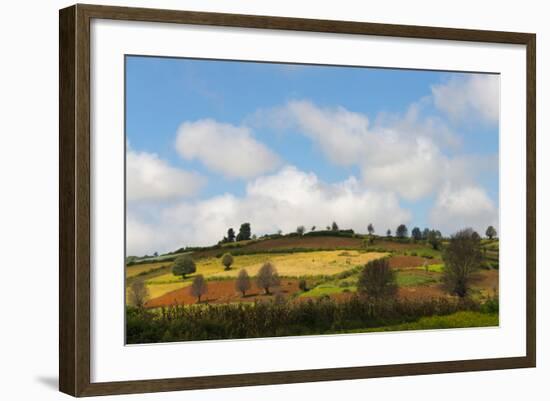 Farmland with Mustard Field, Shan State, Myanmar-Keren Su-Framed Photographic Print