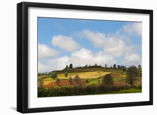 Farmland with Mustard Field, Shan State, Myanmar-Keren Su-Framed Photographic Print