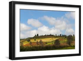 Farmland with Mustard Field, Shan State, Myanmar-Keren Su-Framed Photographic Print