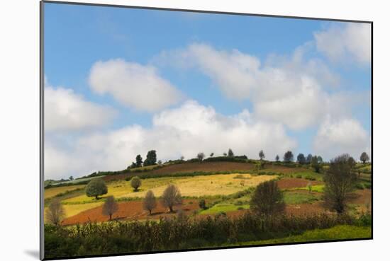 Farmland with Mustard Field, Shan State, Myanmar-Keren Su-Mounted Photographic Print