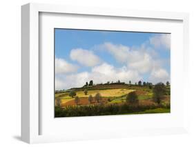 Farmland with Mustard Field, Shan State, Myanmar-Keren Su-Framed Photographic Print